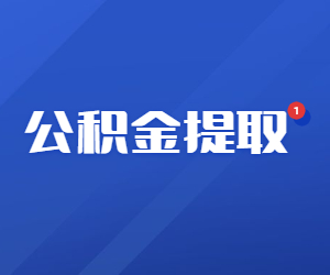 2024年沈阳市公积金提取全攻略：政策解析及办理指南